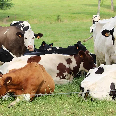 Сasa de vacaciones Arcaden Sint-Martens-Voeren