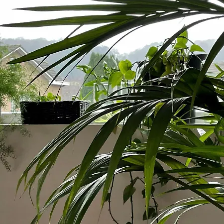 Arcaden * Sint-Martens-Voeren