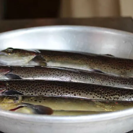 Arcaden Сasa de vacaciones *