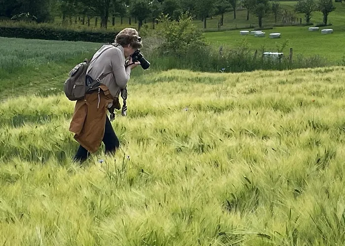 Arcaden Sint-Martens-Voeren
