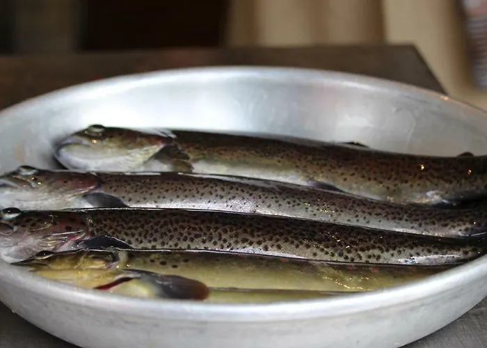 Arcaden Ferienhaus *